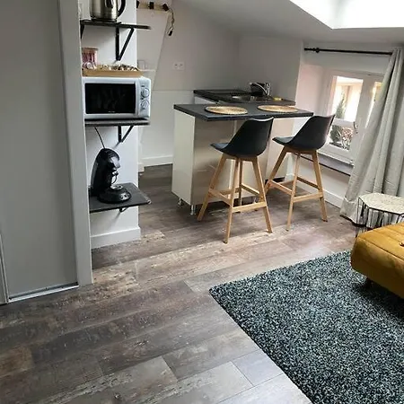 Apartamento Cocooning Et Refait A Neuf. 06