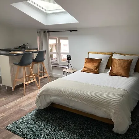 Apartamento Cocooning Et Refait A Neuf. 06 Lyon