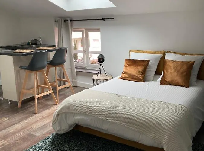 Apartman Cocooning Et Refait A Neuf. 06 Lyon